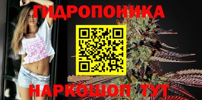 мдпв Коммунар