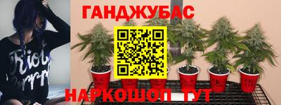 мдпв Коммунар