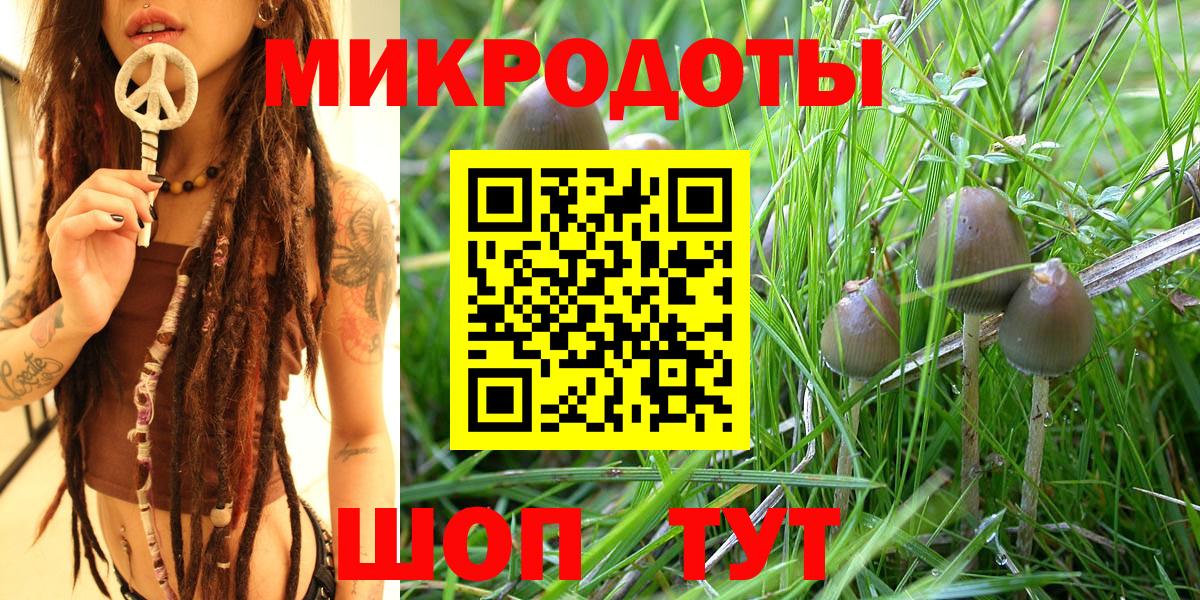 Псилоцибиновые грибы GOLDEN TEACHER  Вход с VPN  Бутурлиновка 