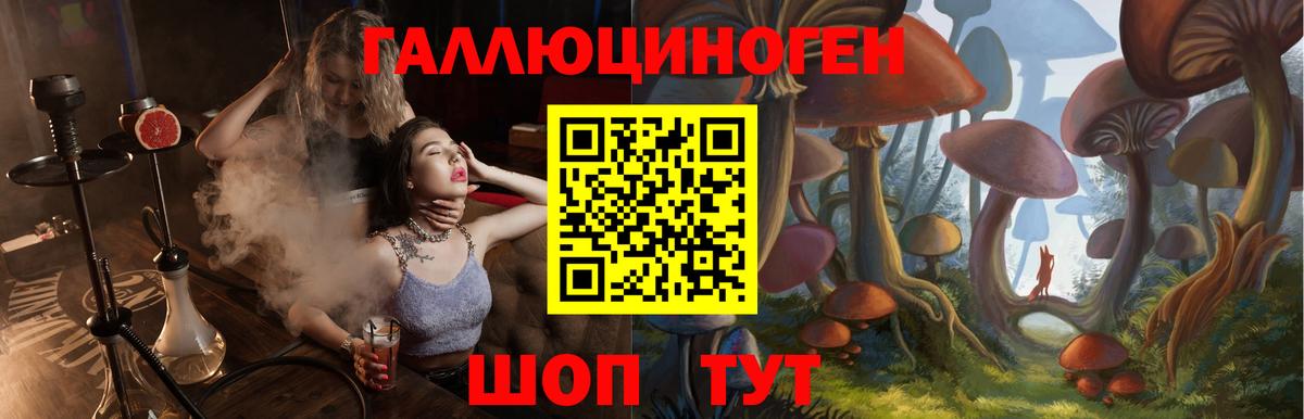 Псилоцибиновые грибы мицелий Бутурлиновка